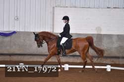 21YN_17972 proof