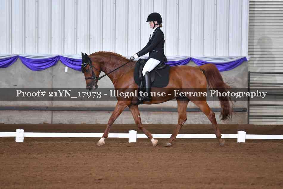 Proof 21YN_17973