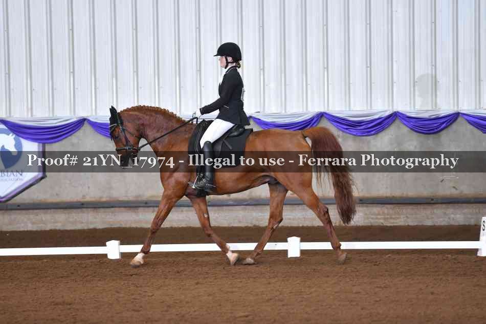 Proof 21YN_17974