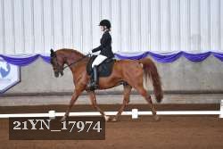 21YN_17974 proof