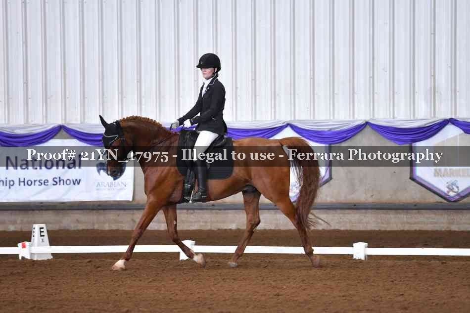Proof 21YN_17975