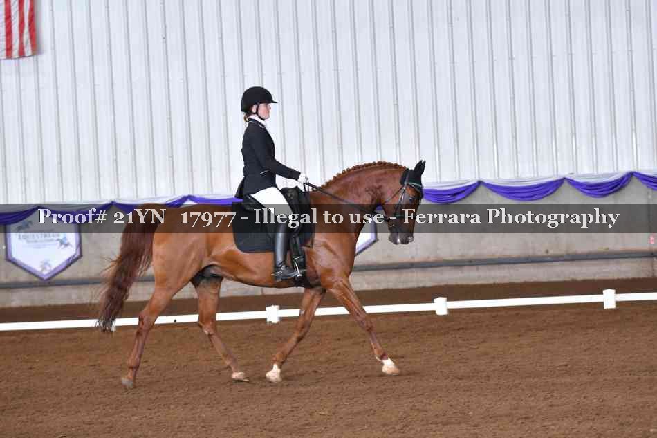 Proof 21YN_17977