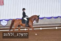 21YN_17977 proof