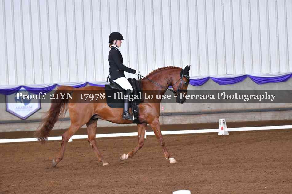 Proof 21YN_17978