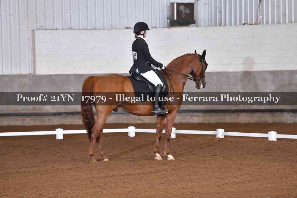 Proof 21YN_17979