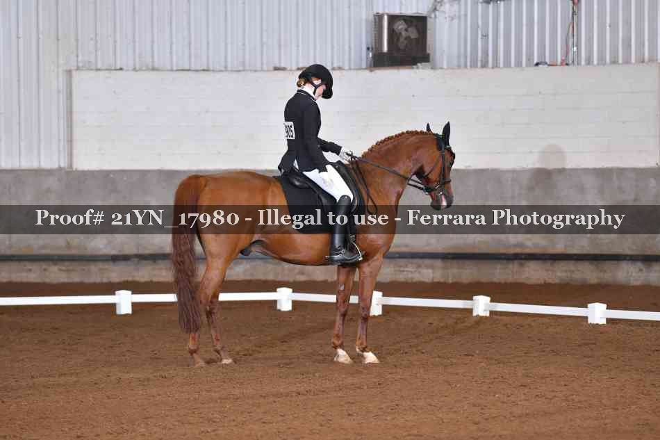 Proof 21YN_17980