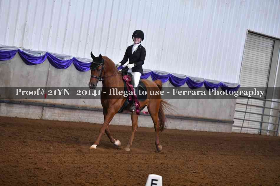 Proof 21YN_20141