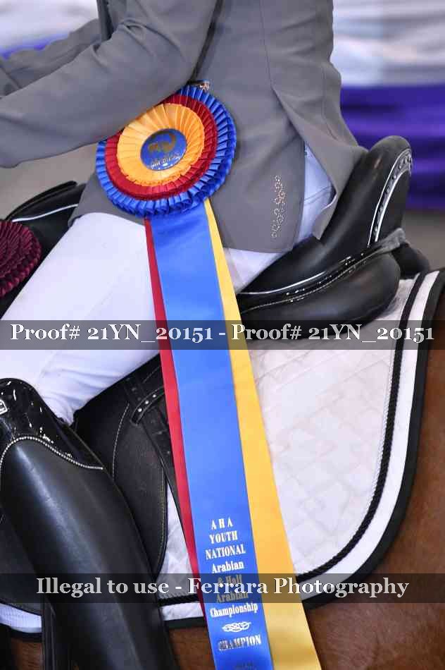 Proof 21YN_20151
