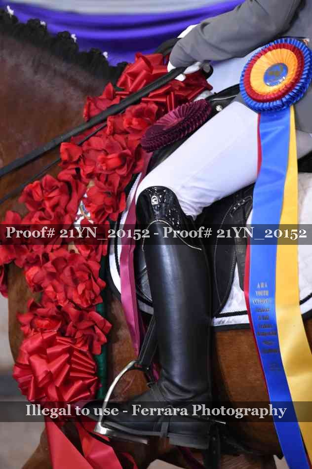 Proof 21YN_20152