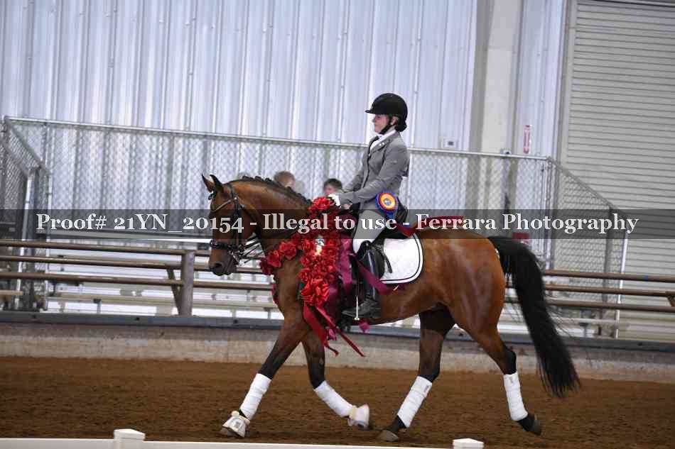 Proof 21YN_20154