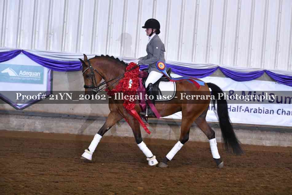 Proof 21YN_20162