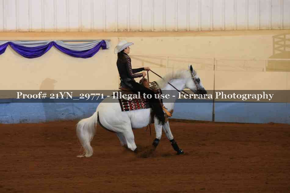 Proof 21YN_29771