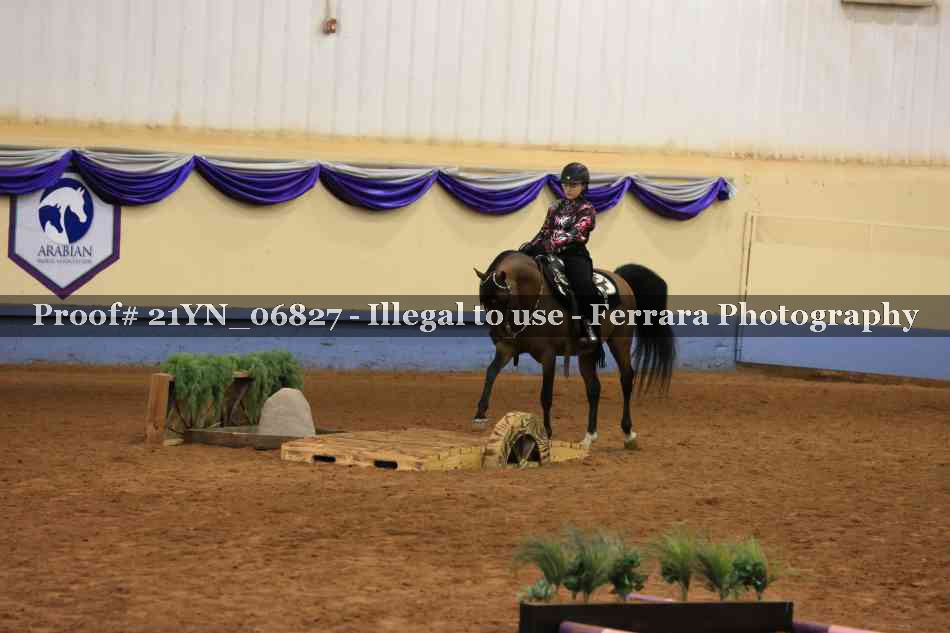 Proof 21YN_06827