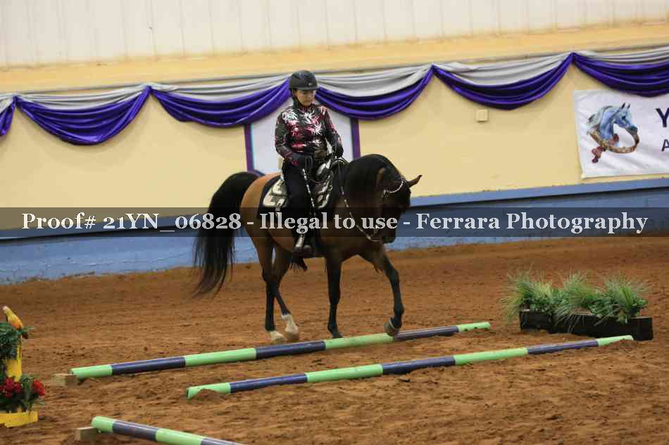 Proof 21YN_06828
