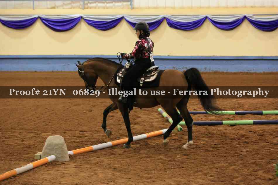 Proof 21YN_06829