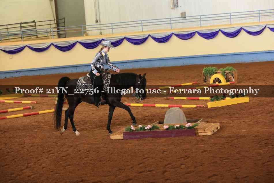 Proof 21YN_22756