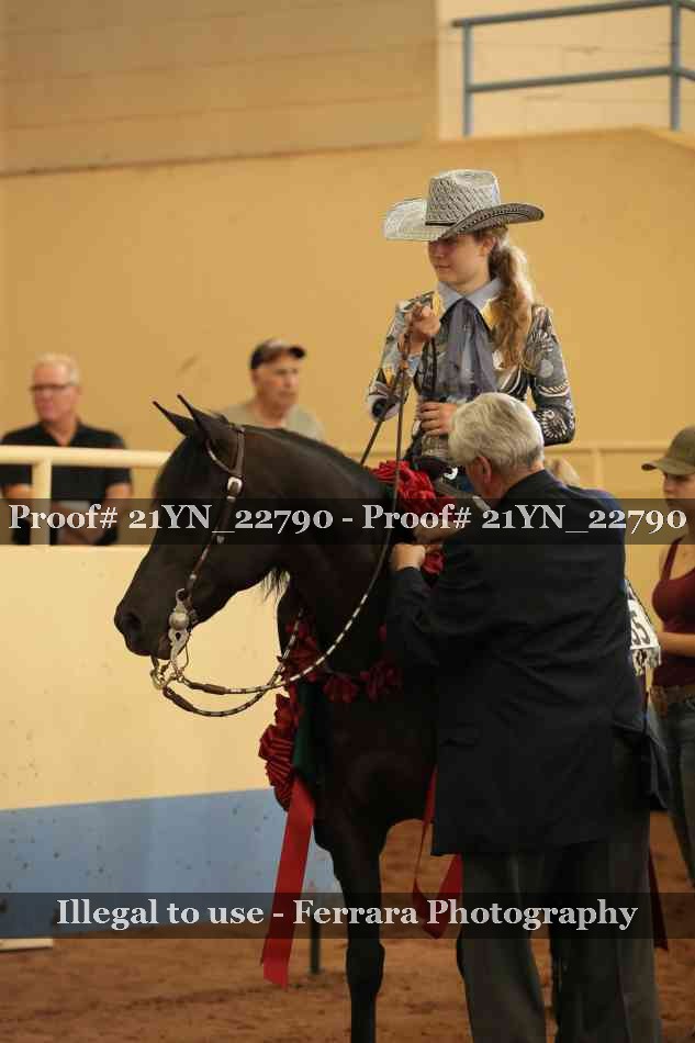 Proof 21YN_22790
