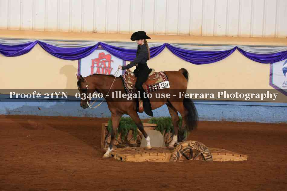 Proof 21YN_03460