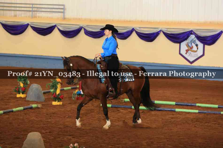 Proof 21YN_03483