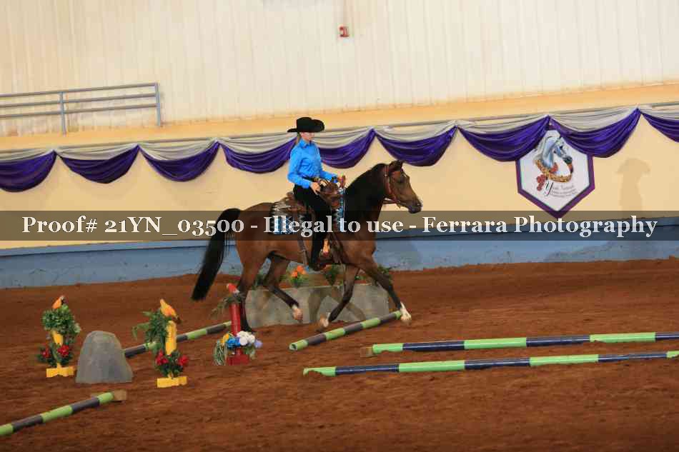Proof 21YN_03500