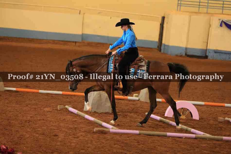 Proof 21YN_03508