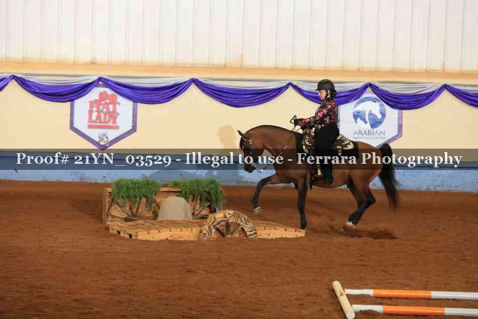 Proof 21YN_03529