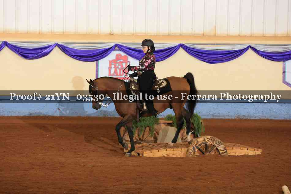 Proof 21YN_03530