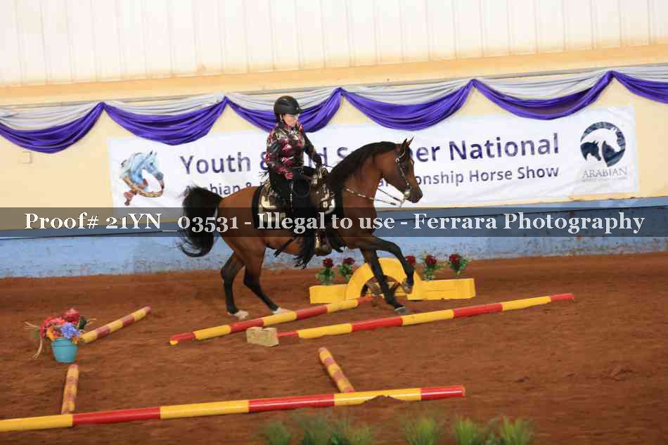 Proof 21YN_03531