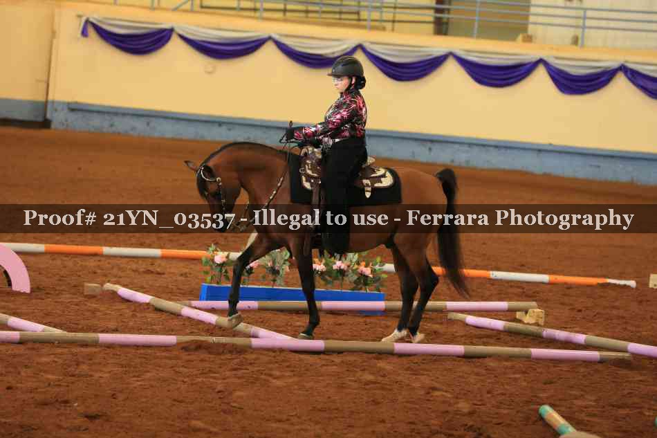 Proof 21YN_03537