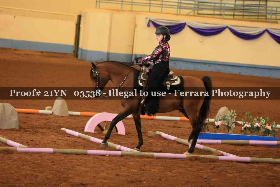 Proof 21YN_03538