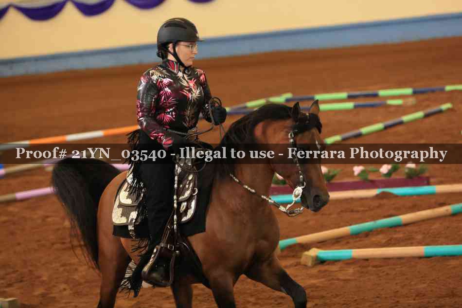 Proof 21YN_03540