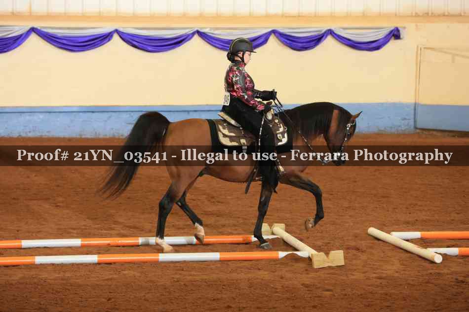Proof 21YN_03541