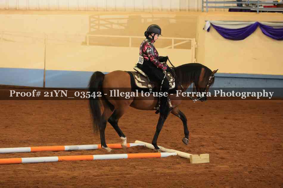 Proof 21YN_03542