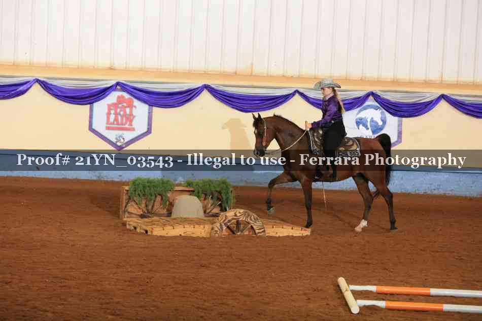 Proof 21YN_03543