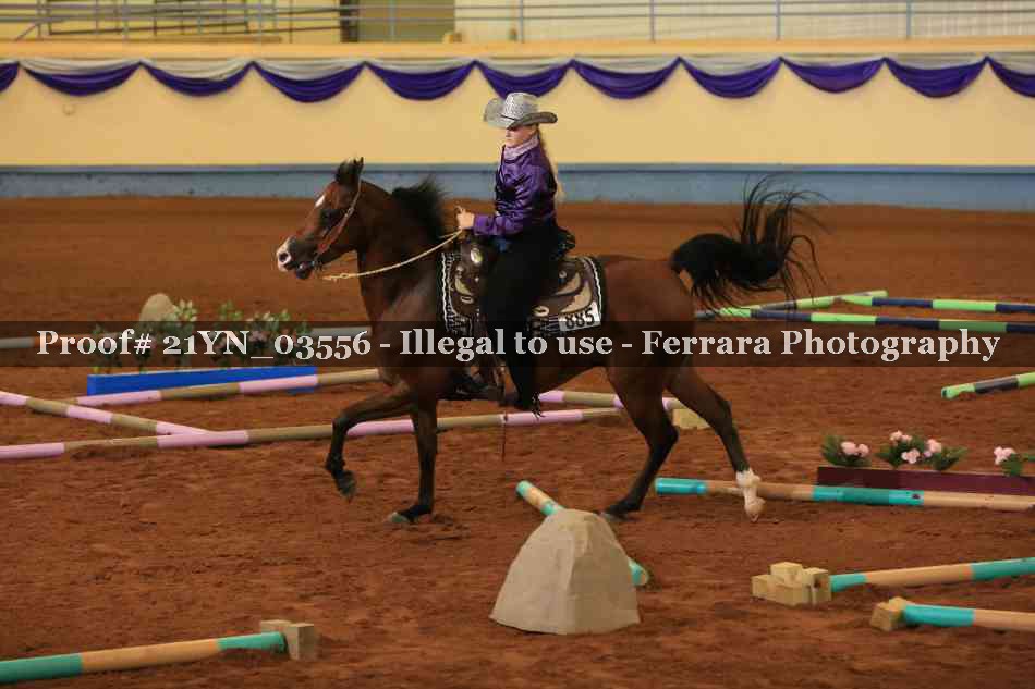 Proof 21YN_03556