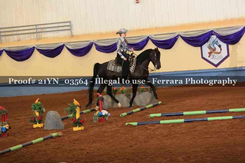 Proof 21YN_03564