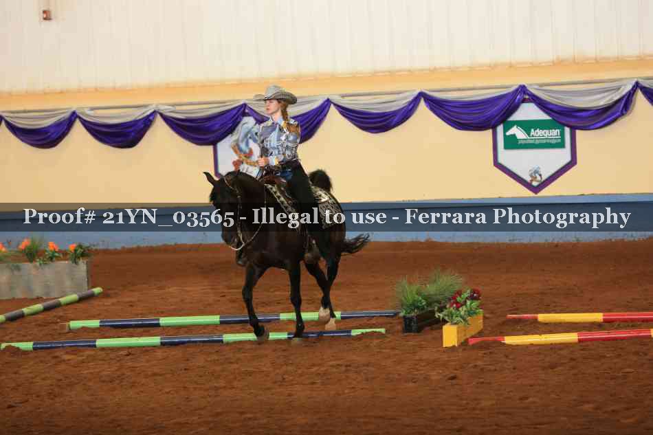 Proof 21YN_03565