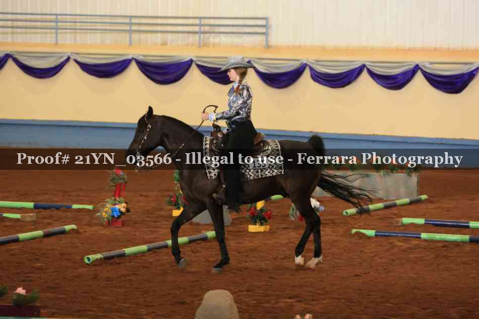 Proof 21YN_03566