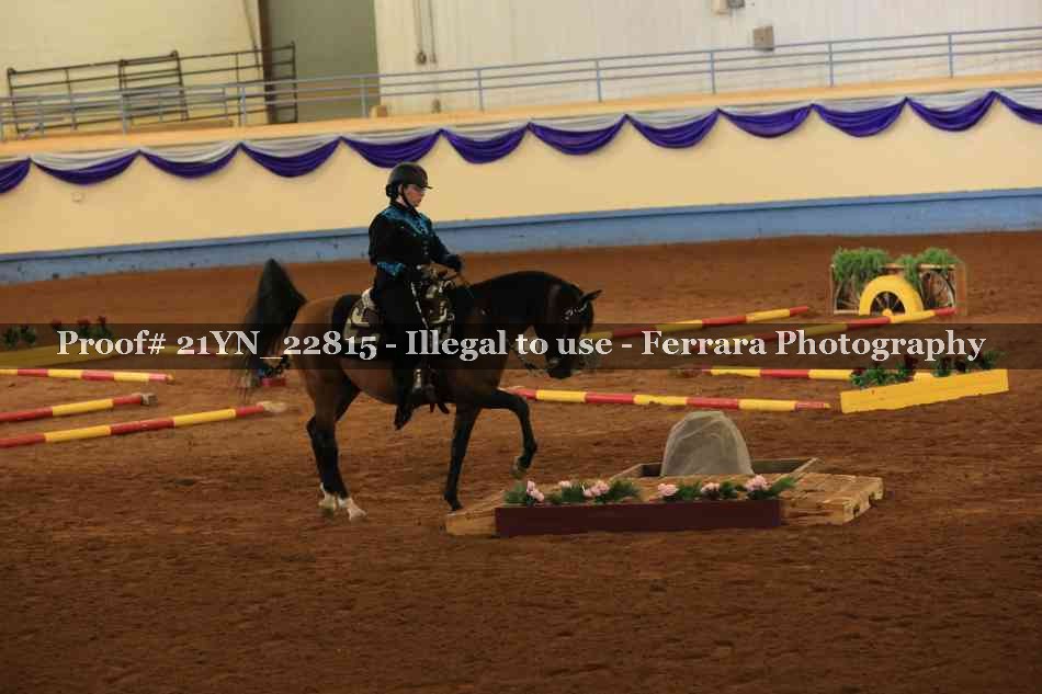 Proof 21YN_22815