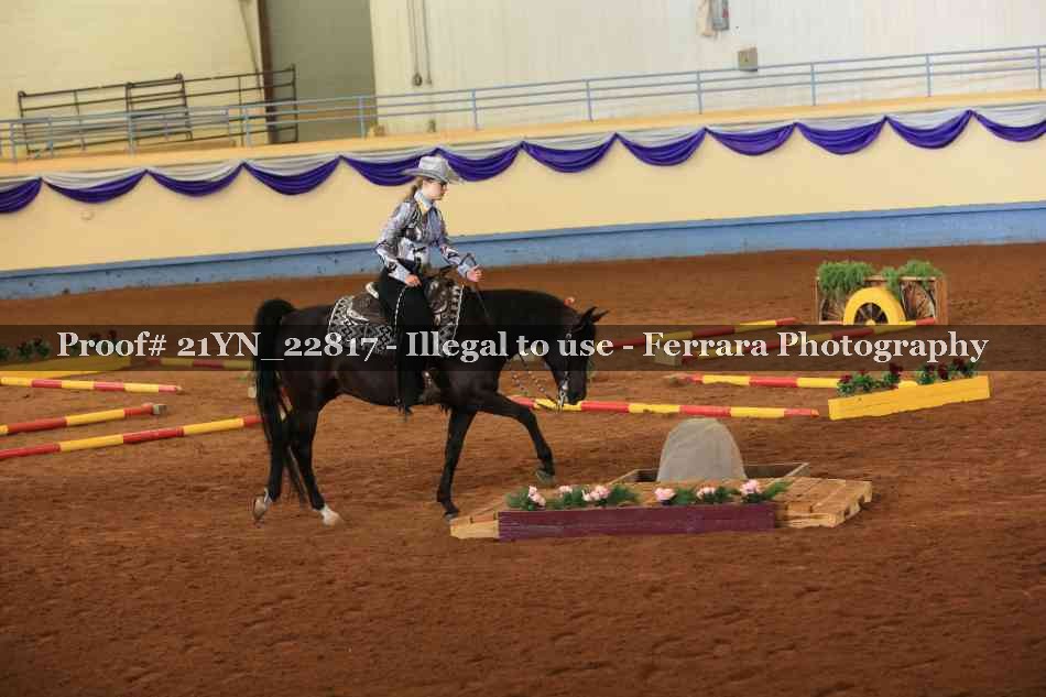 Proof 21YN_22817