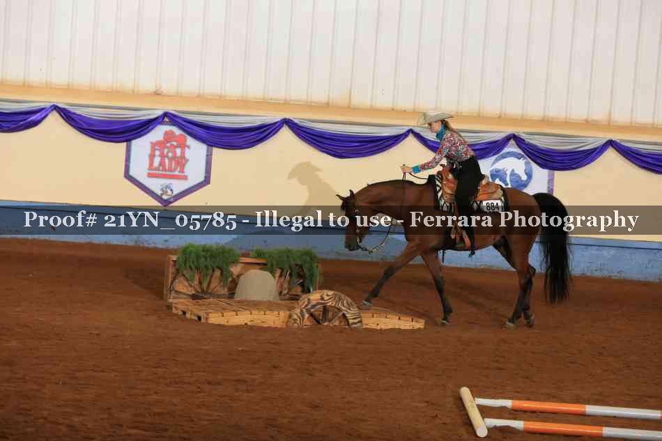 Proof 21YN_05785