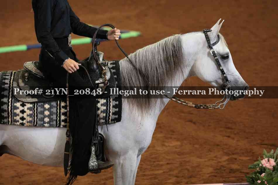 Proof 21YN_20848
