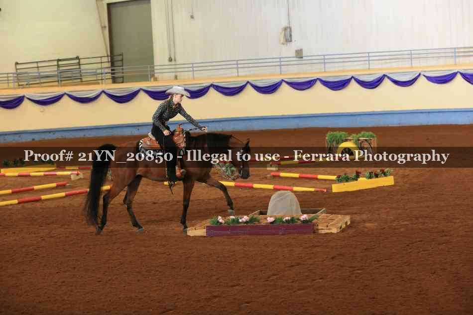 Proof 21YN_20850