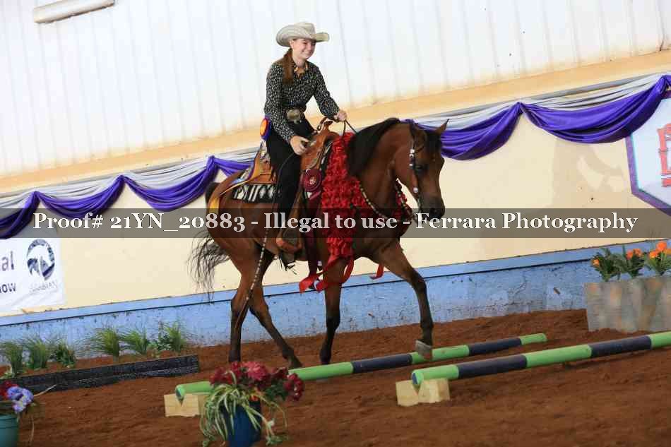 Proof 21YN_20883