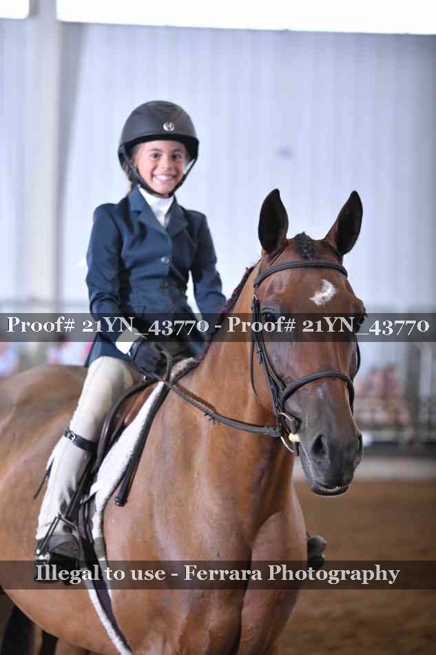 Proof 21YN_43770