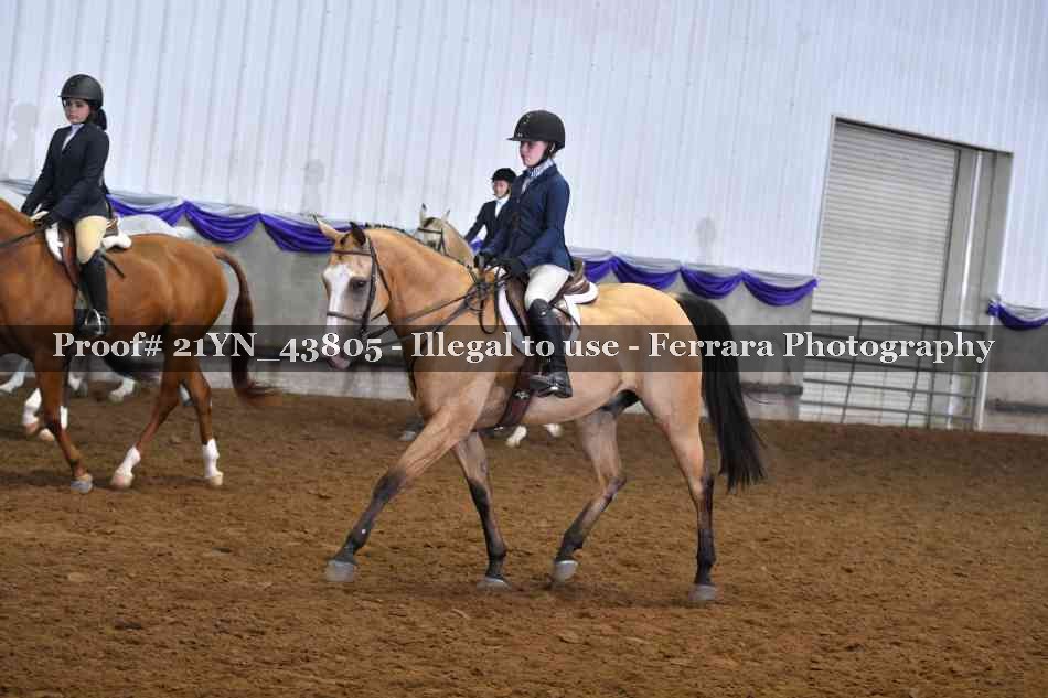 Proof 21YN_43805