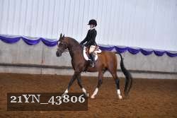 21YN_43806 proof