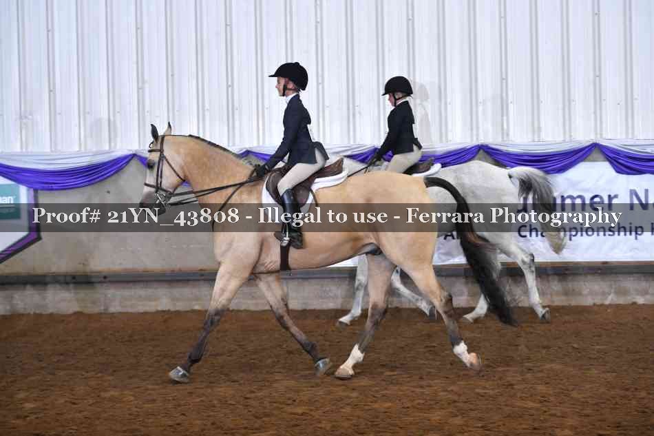 Proof 21YN_43808