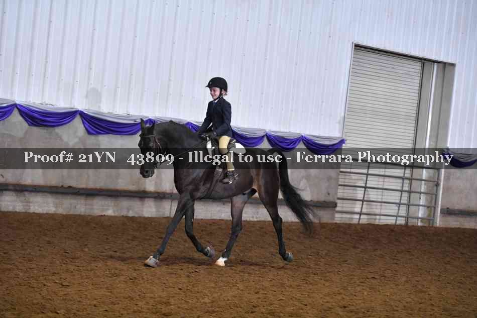 Proof 21YN_43809
