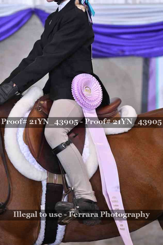 Proof 21YN_43905